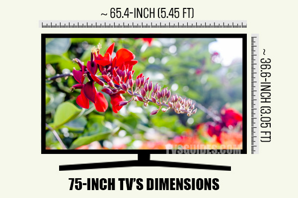 75-inch TV’s Dimensions